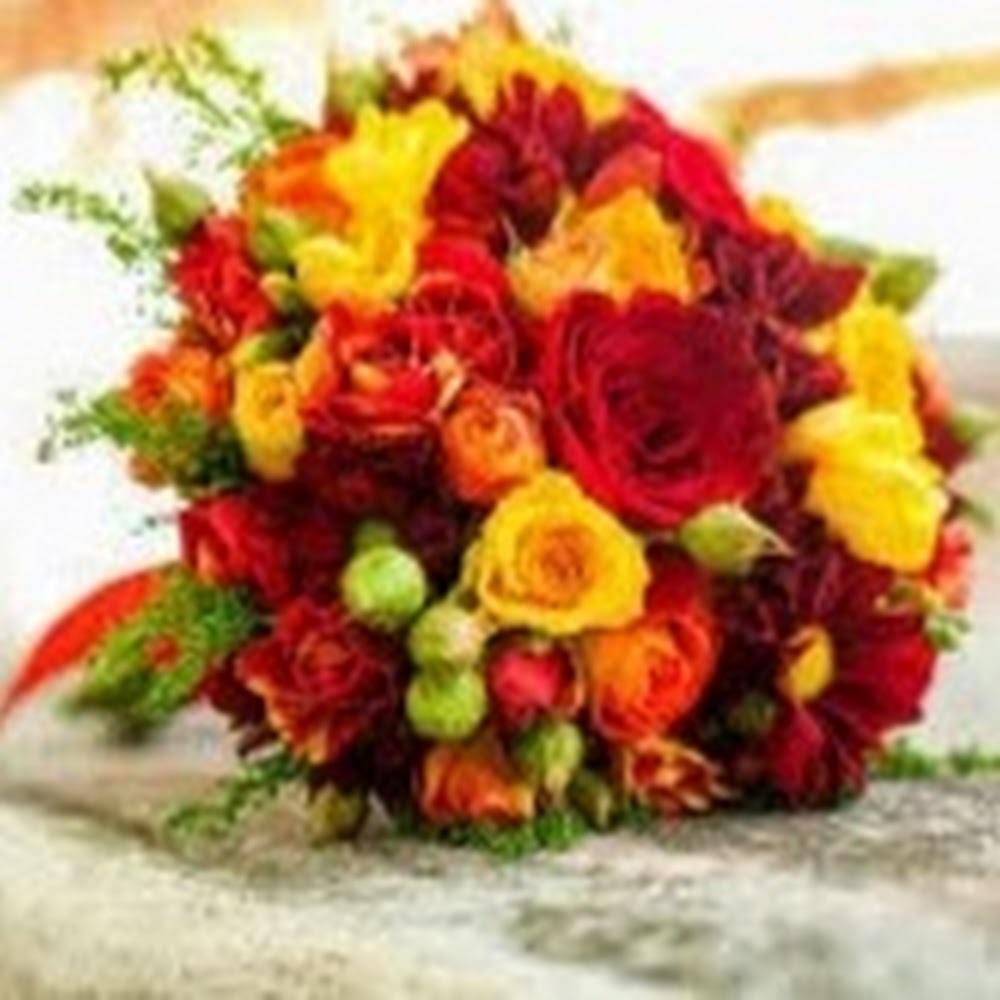 Meet your Posher, Health for the body, mind, and planet